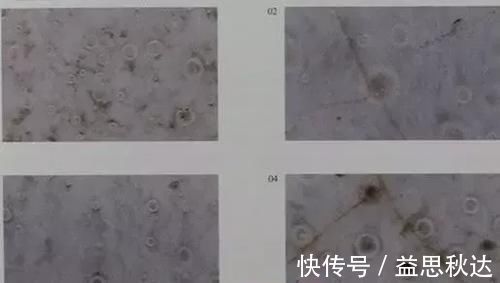 真品|从本件汝窑天青釉纸槌瓶微观图 判断其是否为到代真品