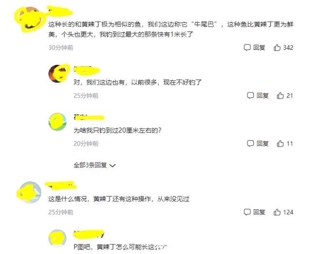 渔获|广西一男子钓获“奇怪”黄辣丁，有人说是“牛尾巴”，这鱼好吃吗