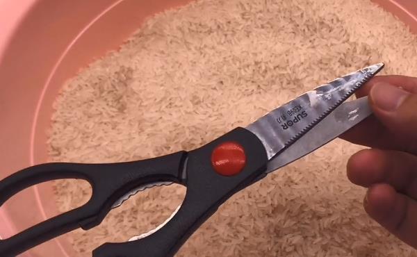 妙用|抓紧把剪刀插进大米里,真是厉害了,现在知道还不晚,快告诉家人