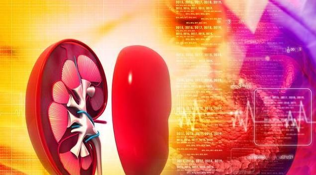  免疫抑制剂|降蛋白延缓肾功能，预防尿毒症，有3种方法可以选择