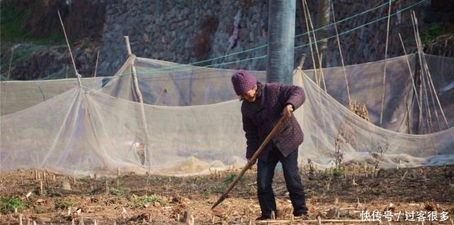 为什么说“三十不发，四十不富，五十将来寻死路”，早知道早受益