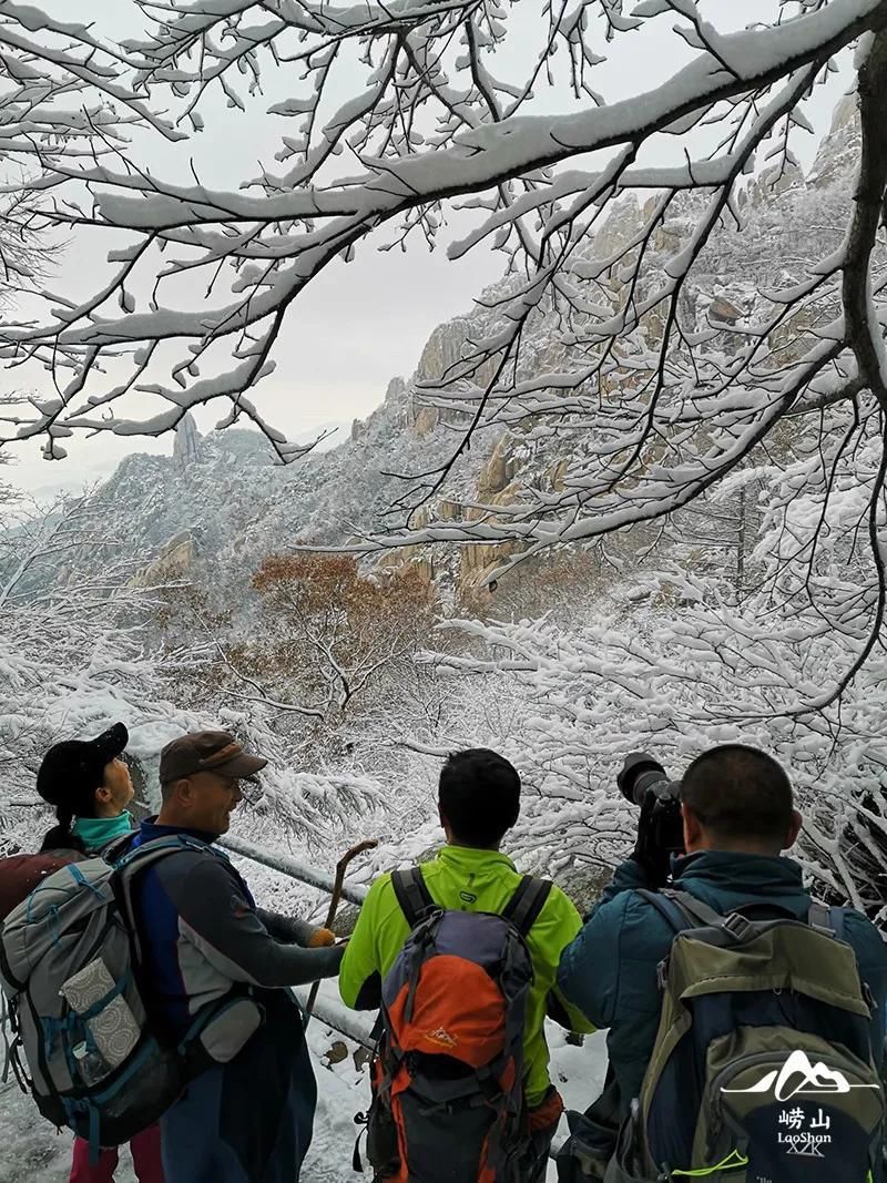 崂山|一场“冰雪奇缘”正在崂山上演…....