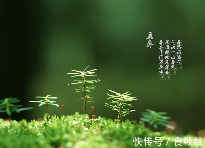 立春!春天开始了,今日“立春”,你“咬春”了没?