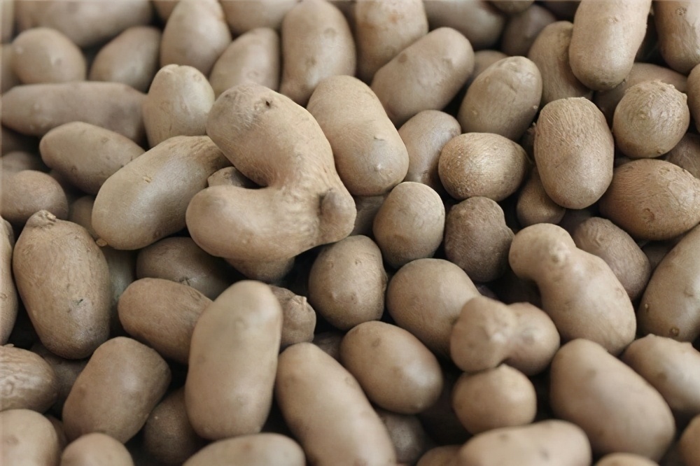 山药豆|想长寿全靠吃，3种食物离不开，排毒养颜，提高免疫力！