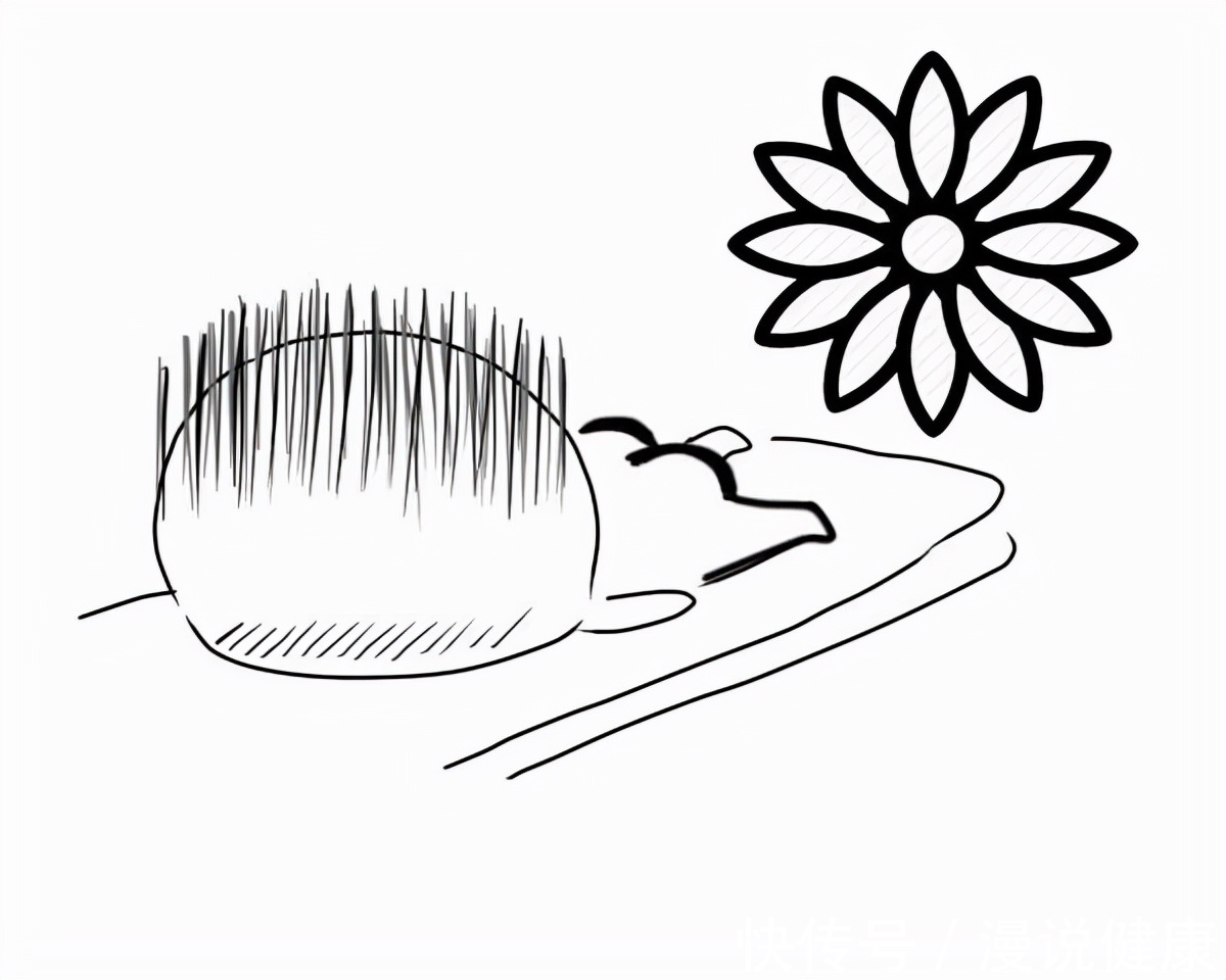 柳叶刀|久坐不动,小心肺栓塞?每一个久坐的人,都可能要面对这6个后果