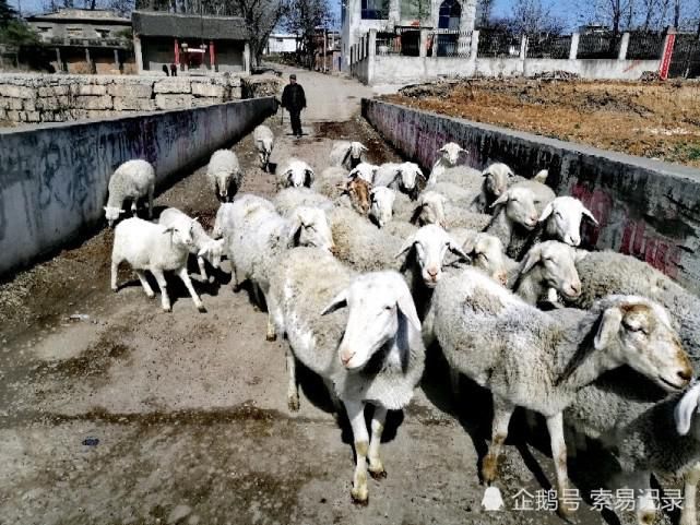 寻找宛洛古道上天院村附近的粮食交易市场和驿站