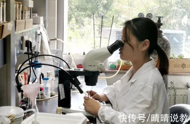 浙江大学|浙大博士和蜜橘商家的聊天记录火了,一句话让人破防,结局更暖心