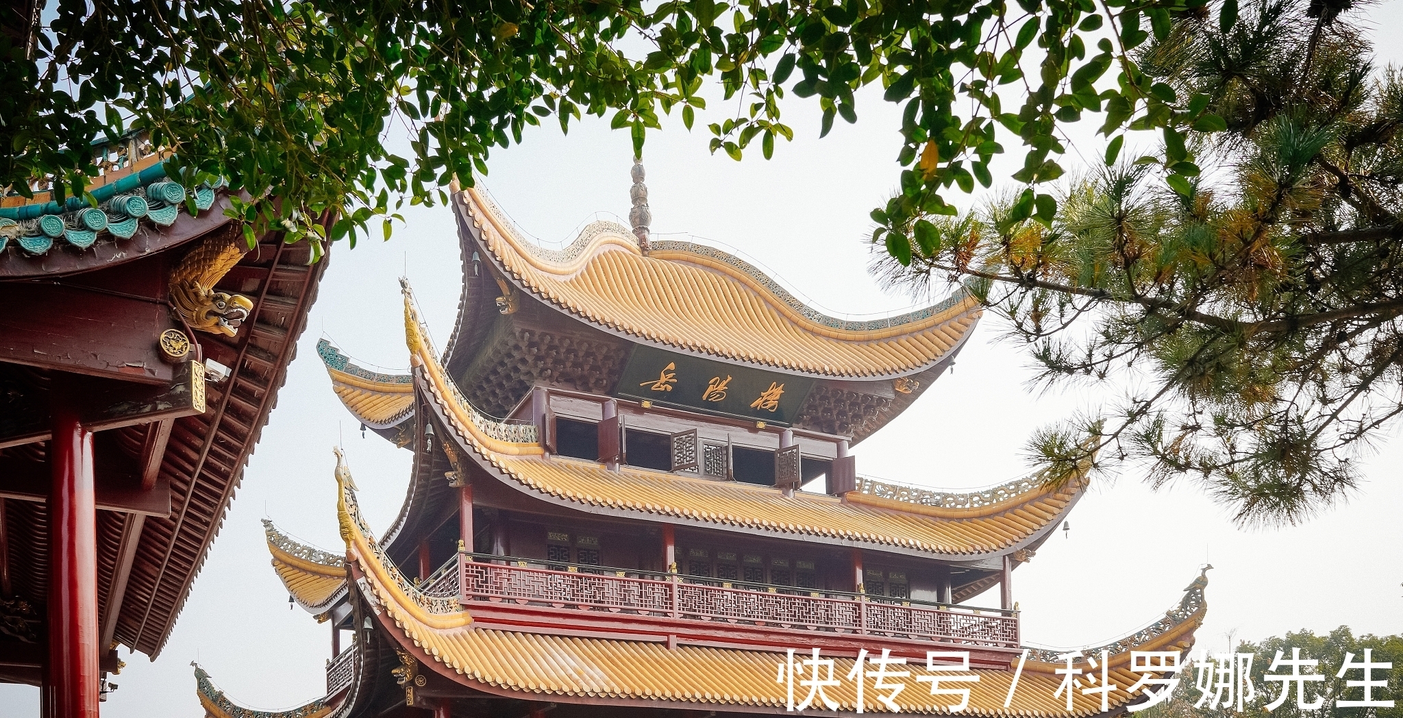 春夜喜雨@唐代伟大诗人:10首经典诗作写尽了一生的悲惨,写尽了岁月的忧愁