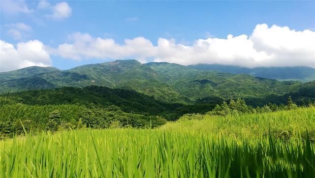 江西奉新县越王山，史迹众多，尚未开发，藏在深山人未识