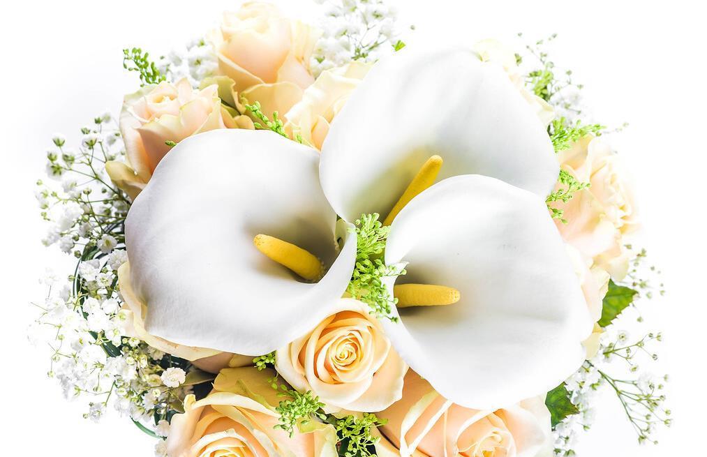 7种花喜欢水,不怕浇死了,浇得越多叶子嗖嗖长,花更漂亮