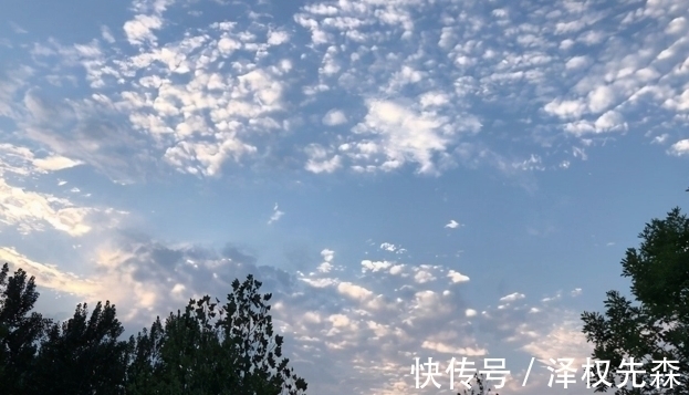 镇元子|“手握四象必富，脚踏七星必贵”，啥意思？“四象”指的是什么？