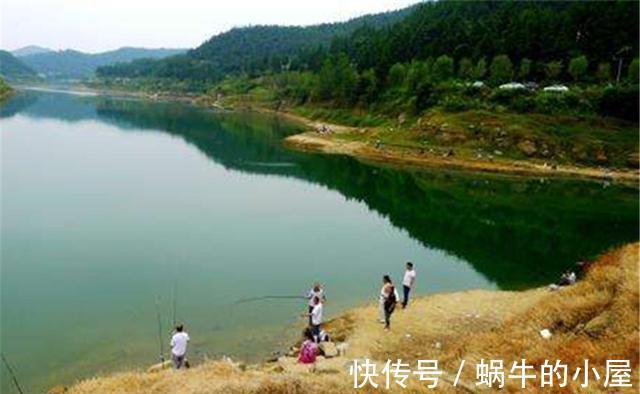 钓法|夏天钓鲤莫大忙,好钓还在菊花黄,用这些钓法,仲秋时节专钓大鲤