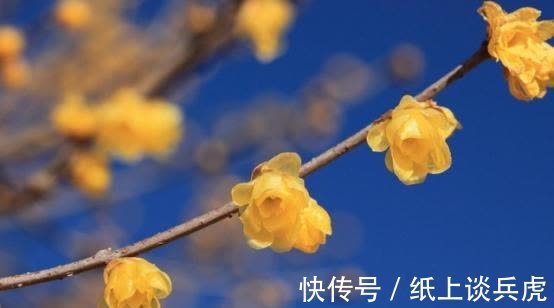 痴缠|3天后，花落无声，思念有情，迷途知返，邂逅旧情，注定痴缠一生