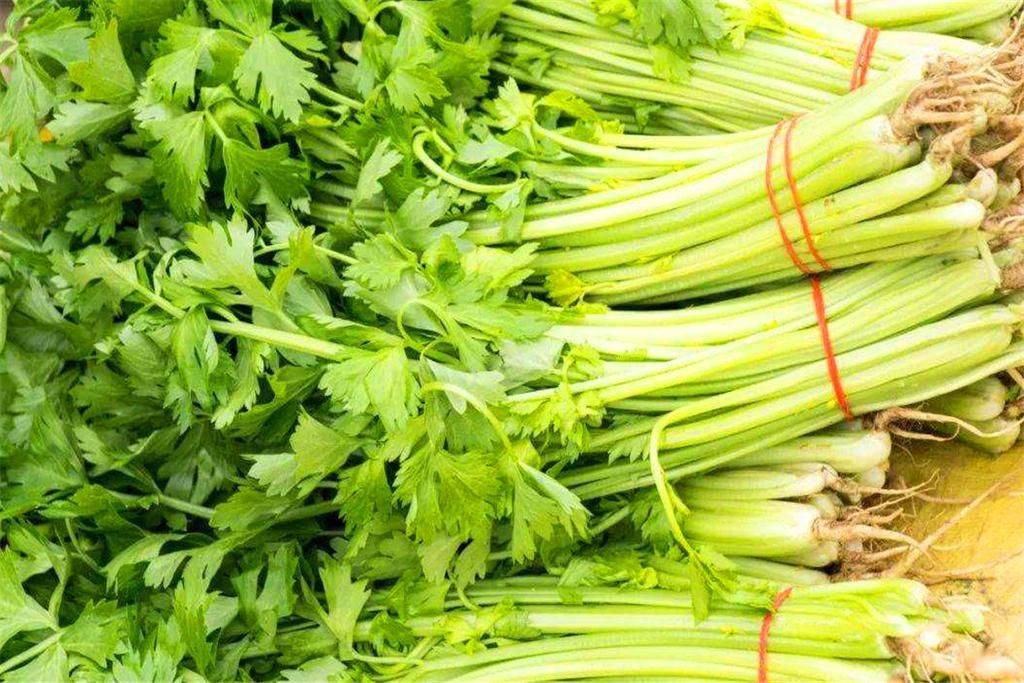  花椒|想吃羊肉馅饺子，别只放羊肉，搭配这三种蔬菜，一口一个，真过瘾