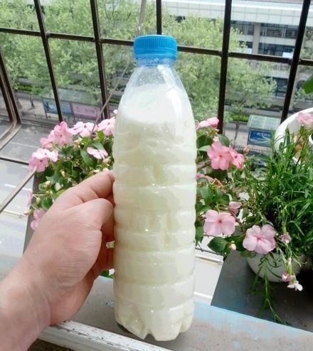 这东西过期了也别丢,用来养绿萝10年不黄叶