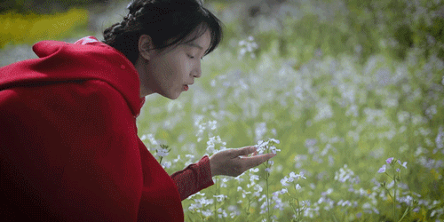 一物一生，吃完萝卜，一生系列就停在这里了吧