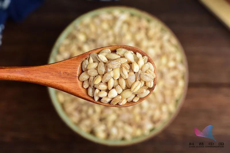 寿命|主食吃多少关乎寿命!哪种主食对人体最健康?该怎么吃?