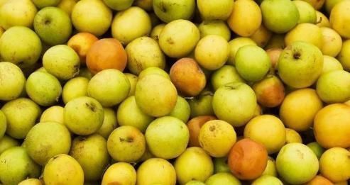 风湿热痹|此物是天然“痔疮药”，每天吃几口，止痛消肿，赶走“老痔疮”