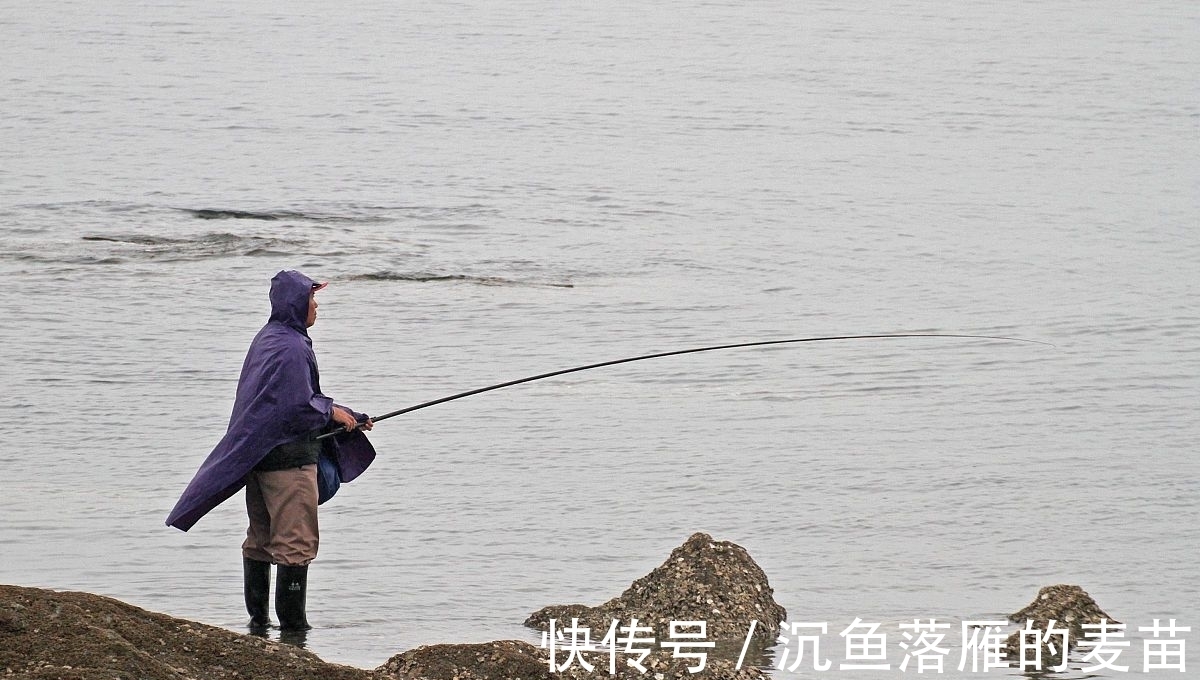 新手|新手野钓：关注细节 使你钓技突飞猛进