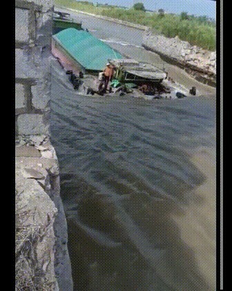 |搞笑GIF趣图：夫妻相相似度百分之九十九，好幸福哦