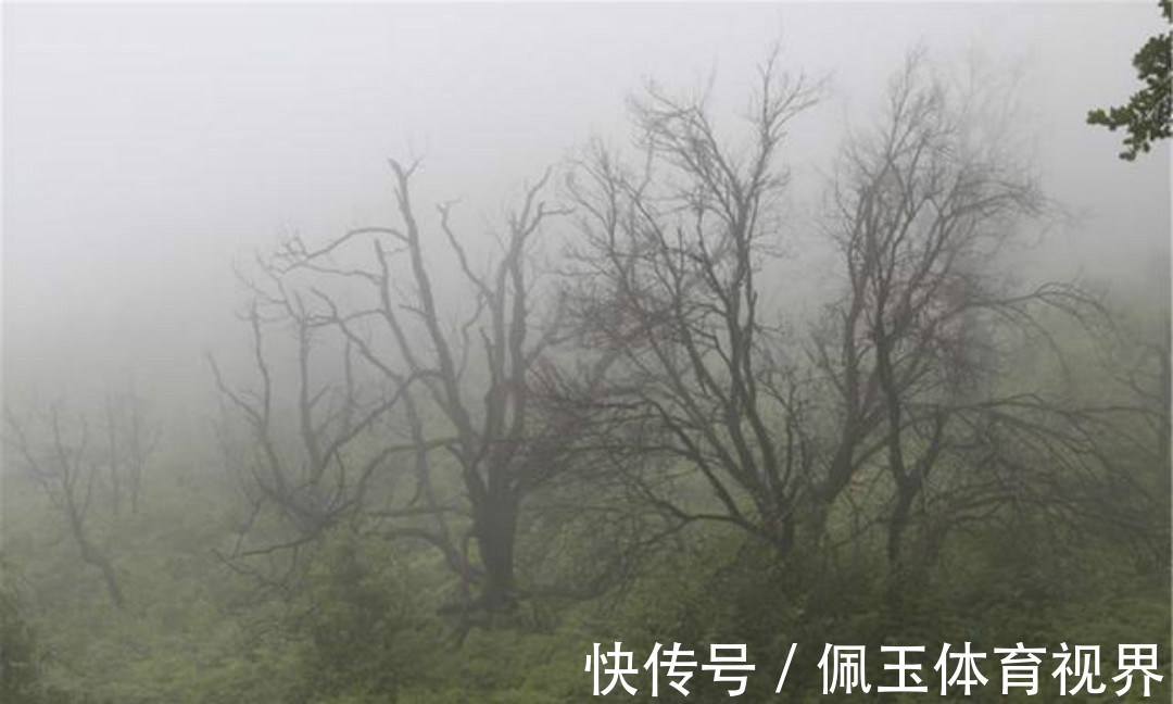 秋夜独坐@王维晚年写下的这首禅诗,通篇意境高远,同时每一句都有大智慧!