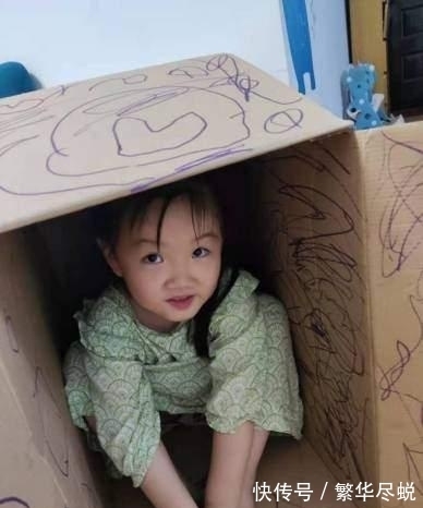 彗星|先天八卦的天文证据