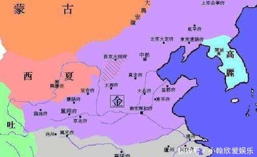 无可奈何|金国能消灭北宋，为什么对西夏无可奈何？