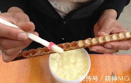 食物|医生建议:女人别太节省,常吃4种食物,或有助补充雌激素