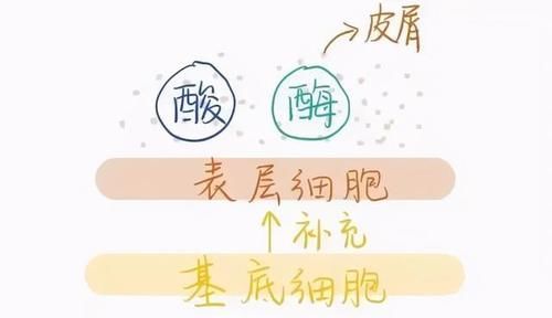 刷酸祛痘怎么操作？刷酸正确护肤步骤有哪些？