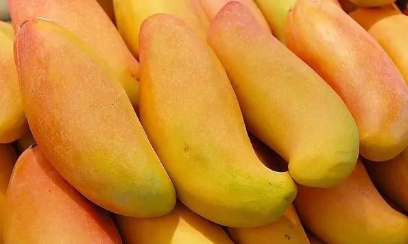 发物|身体生病时少吃发物,这7种发物要记牢