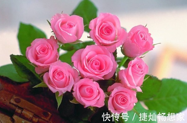 长寿!俗话说人在做,天在看,多做4件积德事,晚年必将长寿又多福!