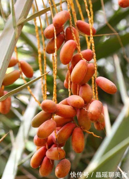 便秘|女性晚上当零食吃几颗,便秘好,气血充足,肝脏越来越清洁