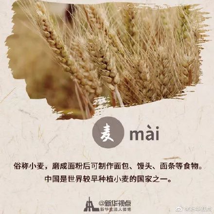 农历$今日秋分！这些和“秋分”有关的知识一定要给孩子讲讲