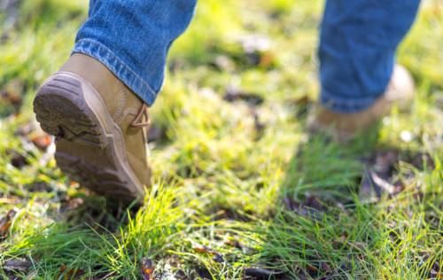 初春养肝,多吃二菜,勤饮三水,做好四件事,肝好一切都好