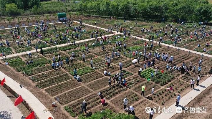 东营市教育局|东营区第一中学举行劳动实践研学基地启动仪式