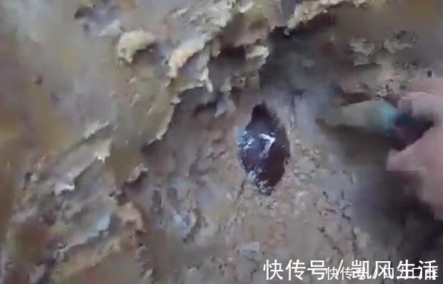 钓鱼|男子野外挖蚯蚓钓鱼，发现一块“黄”石头，令他高兴不已