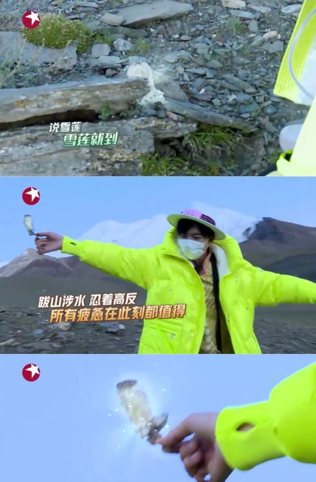 缺席|《跑男》黄河篇第二轮录制时间确定,蔡徐坤缺席,飞行嘉宾曝光