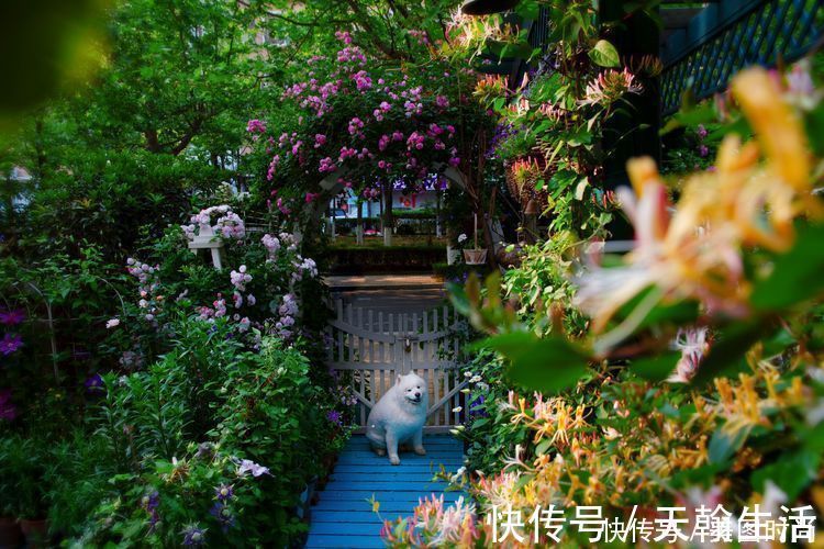 城市|在城市近郊买个40㎡的院子，闲暇时种种花草做做美食，惬意啊！