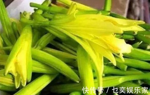 hm2|黄花菜明目安神,滋养皮肤,农民只需掌握一点,收获高产的黄花菜