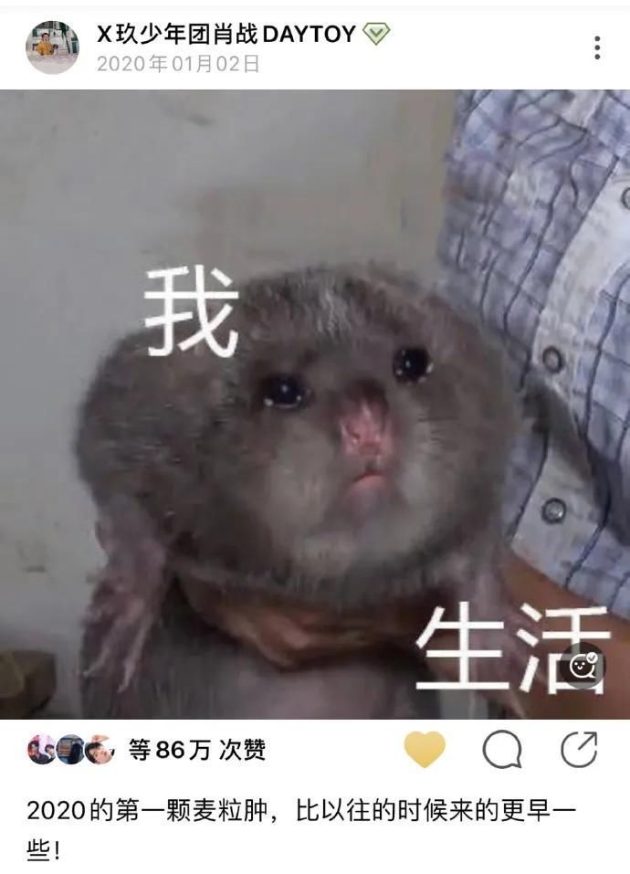 肖战《奇妙之城》接地气,撸猫开车回忆往事,自曝吃火锅拉肚子