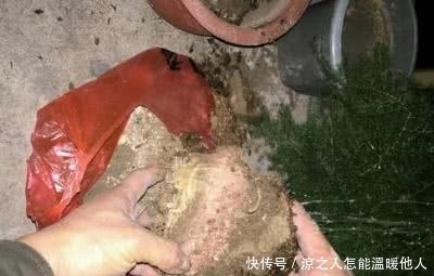 养花必须要经常做的事情,花卉才会茁壮成长!想要养花的朋友进来
