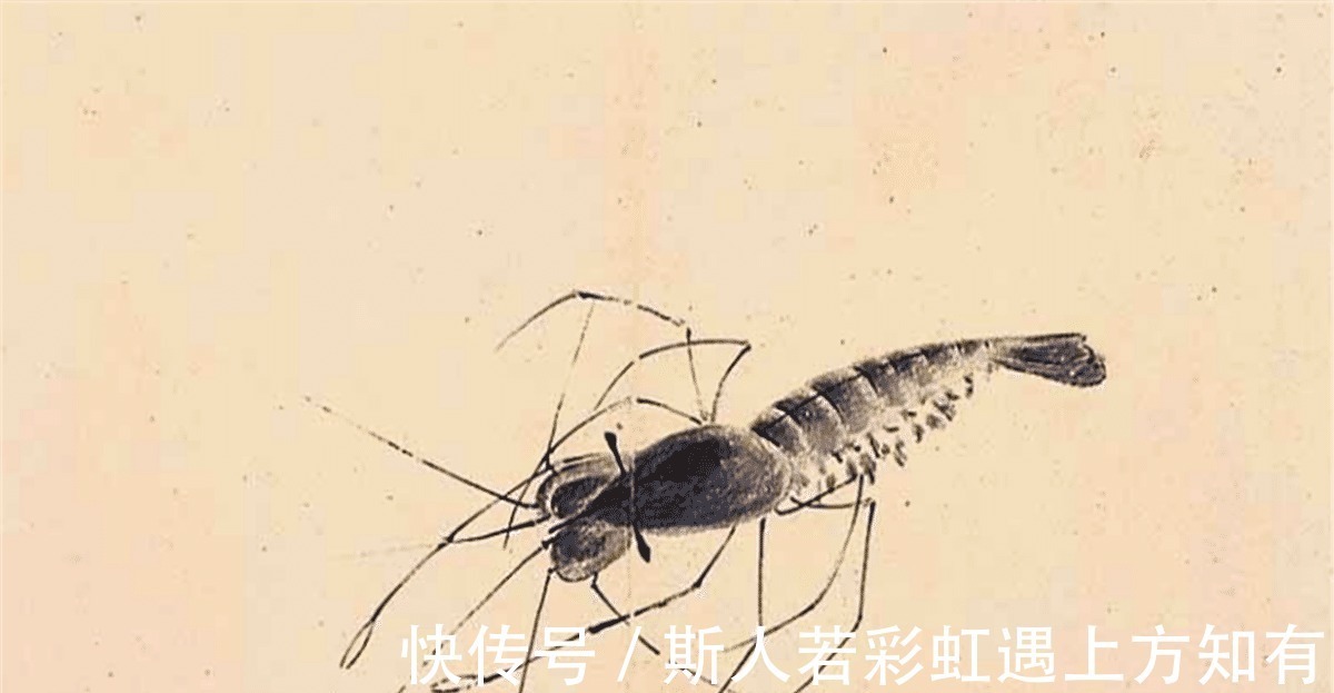 昆虫@齐白石画的一只虾, 专家用高科技缩小到0.618倍, 看到了3D的效果!