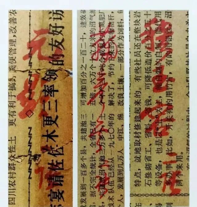 启功!难得一见!启功的信手涂鸦,竟如此惊艳,比成熟“启功体”还耐看