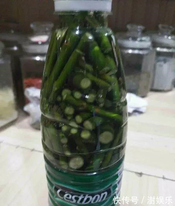 水杨酸|杜鹃茶花插不活,枝条在泥巴里打个滚,大白根呼呼长,新芽猛冒!