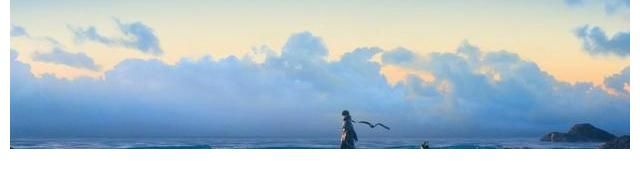 女主|破镜重圆：心机老男人步步追妻清冷大美人