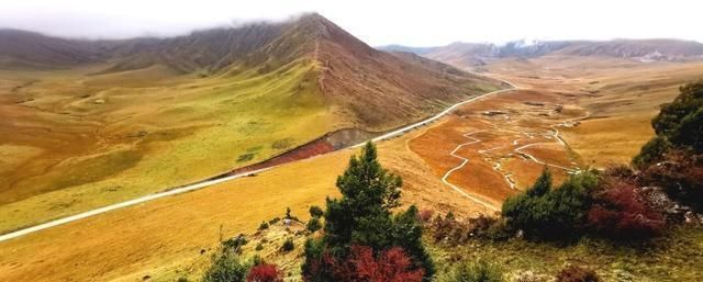 高原|这个地方被称为松潘高原，是西北高原的绿洲、扎营卢加草原、秀美牛羊成群的