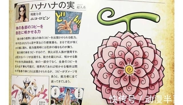 人人果实|草帽海贼团两大果实大曝光,难怪罗宾的是个宝,而乔巴的拿去喂狗