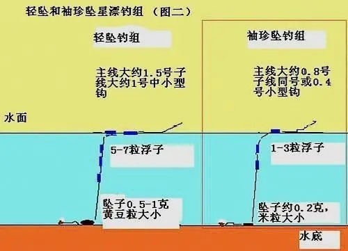 水情|冬天还用“调四钓二”？高手都在用这个钓法了，还是它靠谱！