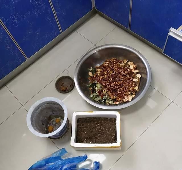  实用|冬天的泡沫箱别扔，扔了就是扔钱，养花太实用