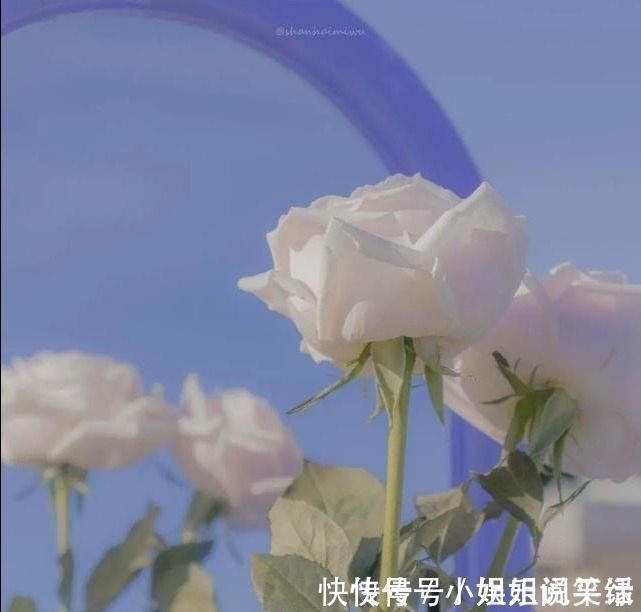 |12个让你心情变好的幽默小短句,治愈你的不开心!